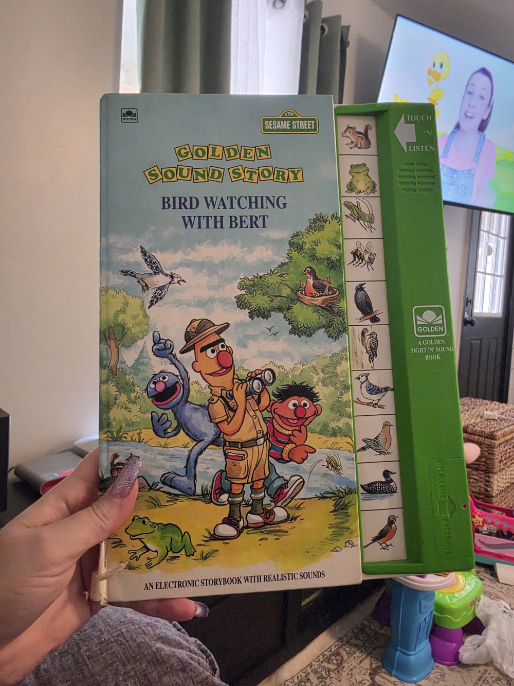 Sesame Street Golden Sound Story Bird Watching with Bert — Green and Blue